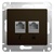 Schneider electric GLOSSA РОЗЕТКА двойная RJ11+RJ45, кат.5E, механизм, ШОКОЛАД GSL000885 Schneider electric GLOSSA РОЗЕТКА двойная RJ11+RJ45, кат.5E, механизм, ШОКОЛАД GSL000885