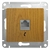 Schneider electric GLOSSA РОЗЕТКА телефонная RJ11, ДЕРЕВО ДУБ GSL000581T Schneider electric GLOSSA РОЗЕТКА телефонная RJ11, ДЕРЕВО ДУБ GSL000581T