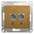 Schneider electric GLOSSA РОЗЕТКА двойная RJ11+RJ45, кат.5E, ДЕРЕВО ДУБ GSL000585 Schneider electric GLOSSA РОЗЕТКА двойная RJ11+RJ45, кат.5E, ДЕРЕВО ДУБ GSL000585